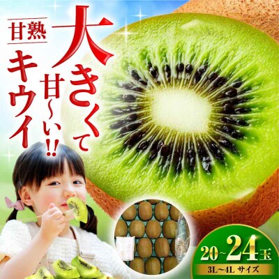 【先行受付】【1月上旬より順次発送】甘熟キウイ 3L-4Lサイズ 20-24玉入[AGBN001]