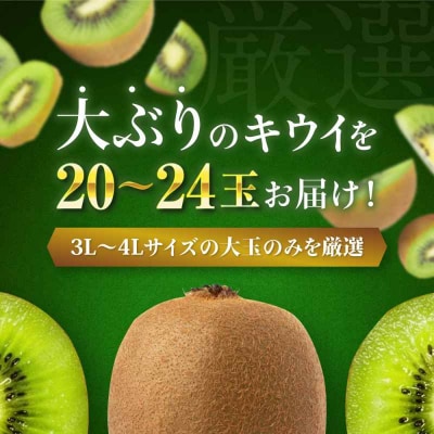 【先行受付】【1月上旬より順次発送】甘熟キウイ 3L-4Lサイズ 20-24玉入[AGBN001]