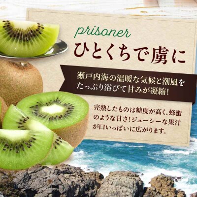 【先行受付】【1月上旬より順次発送】甘熟キウイ 3L-4Lサイズ 20-24玉入[AGBN001]