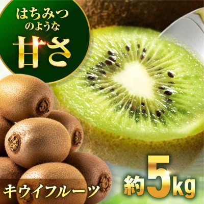 【先行受付】【11月上旬より順次発送】キウイフルーツ 約5kg [AGBN002]