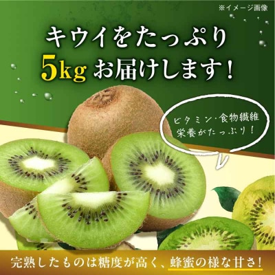 【先行受付】【11月上旬より順次発送】キウイフルーツ 約5kg [AGBN002]