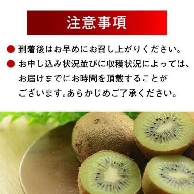 【先行受付】【11月上旬より順次発送】キウイフルーツ 約5kg [AGBN002]