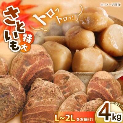 【先行受付】【9月上旬より順次発送】大洲産トロトロさといも L-2L 4kg[AGBN003]