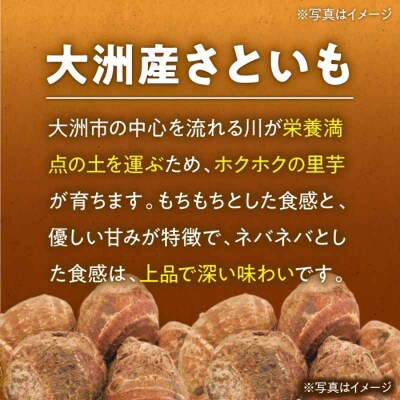 【先行受付】【9月上旬より順次発送】大洲産トロトロさといも L-2L 4kg[AGBN003]