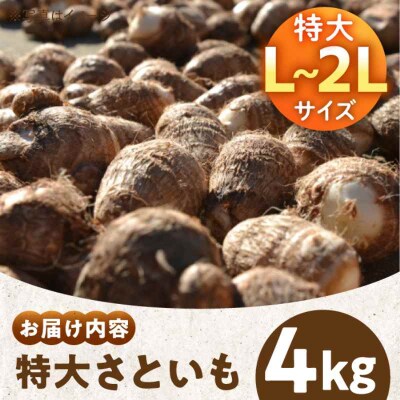 【先行受付】【9月上旬より順次発送】大洲産トロトロさといも L-2L 4kg[AGBN003]