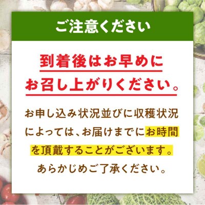 【先行受付】【9月上旬より順次発送】大洲産トロトロさといも L-2L 4kg[AGBN003]