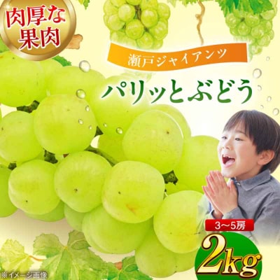 【先行受付】【9月上旬より順次発送】瀬戸ジャイアンツ2kg 3-5房 [AGBN005]