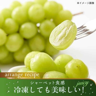 【先行受付】【9月上旬より順次発送】瀬戸ジャイアンツ2kg 3-5房 [AGBN005]