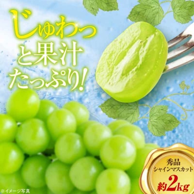 【先行受付】【9月上旬より順次発送】秀品 シャインマスカット約2kg 3-5房 [AGBN006]