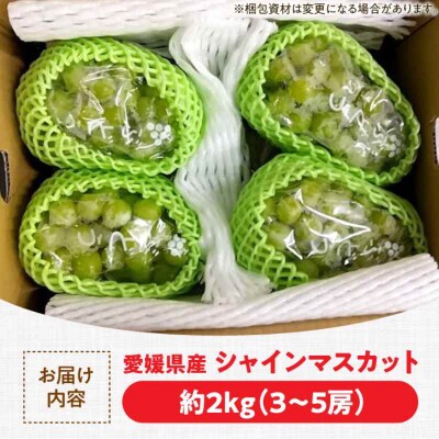 【先行受付】【9月上旬より順次発送】秀品 シャインマスカット約2kg 3-5房 [AGBN006]