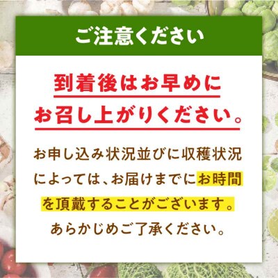 【先行受付】【6月上旬より順次発送】あま-いスイートコーン L-2L 12本[AGBN007]