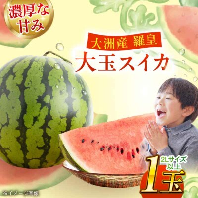 【先行受付】【6月中旬より順次発送】大洲産 羅皇(スイカ)2L以上 大玉1玉 [AGBN008]