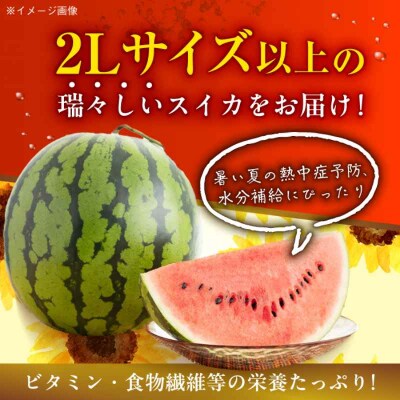 【先行受付】【6月中旬より順次発送】大洲産 羅皇(スイカ)2L以上 大玉1玉 [AGBN008]