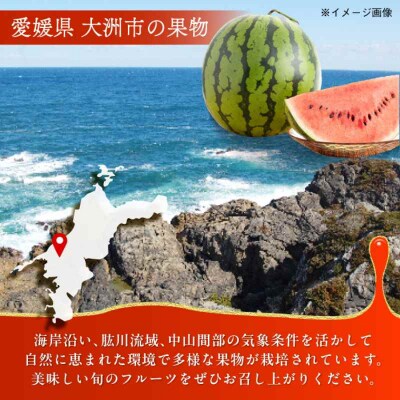 【先行受付】【6月中旬より順次発送】大洲産 羅皇(スイカ)2L以上 大玉1玉 [AGBN008]