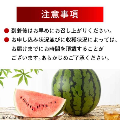【先行受付】【6月中旬より順次発送】大洲産 羅皇(スイカ)2L以上 大玉1玉 [AGBN008]