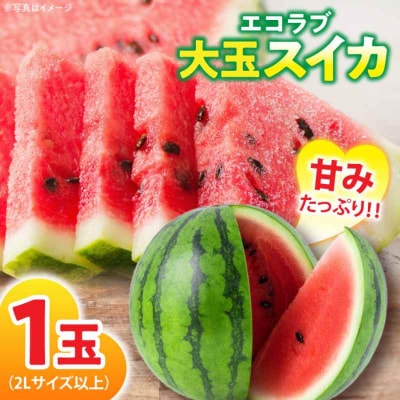 【先行受付】【6月上旬より順次発送】愛情つまったエコラブスイカ 2L以上 1玉 [AGBN009]