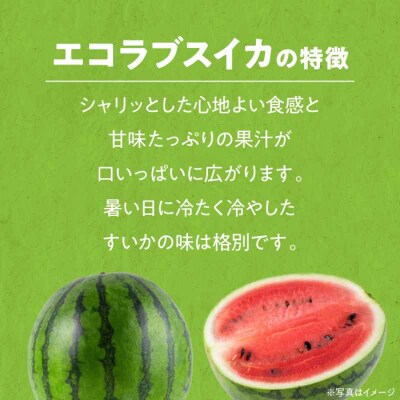 【先行受付】【6月上旬より順次発送】愛情つまったエコラブスイカ 2L以上 1玉 [AGBN009]