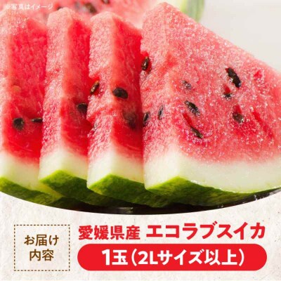 【先行受付】【6月上旬より順次発送】愛情つまったエコラブスイカ 2L以上 1玉 [AGBN009]