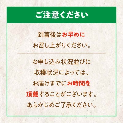 【先行受付】【6月上旬より順次発送】愛情つまったエコラブスイカ 2L以上 1玉 [AGBN009]