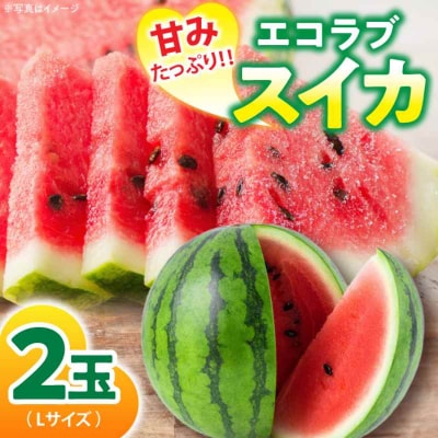 【先行受付】【6月上旬より順次発送】愛情つまったエコラブスイカ Lサイズ 2玉 [AGBN010]
