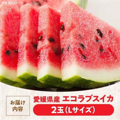 【先行受付】【6月上旬より順次発送】愛情つまったエコラブスイカ Lサイズ 2玉 [AGBN010]