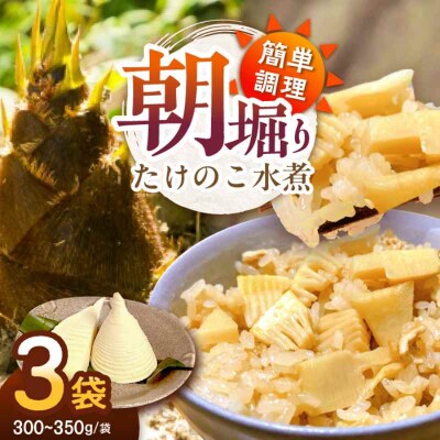 【先行受付】【4月中旬から順次発送】たけのこの水煮 3袋 [AGBN011]
