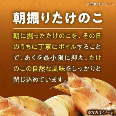 【先行受付】【4月中旬から順次発送】たけのこの水煮 3袋 [AGBN011]