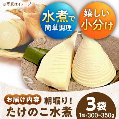 【先行受付】【4月中旬から順次発送】たけのこの水煮 3袋 [AGBN011]