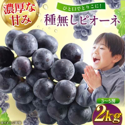 【先行受付】【8月下旬より順次発送】種無しピオーネ2kg(3-5房) [AGBN014]