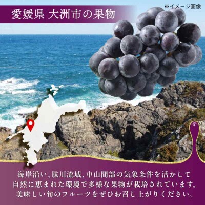 【先行受付】【8月下旬より順次発送】種無しピオーネ2kg(3-5房) [AGBN014]