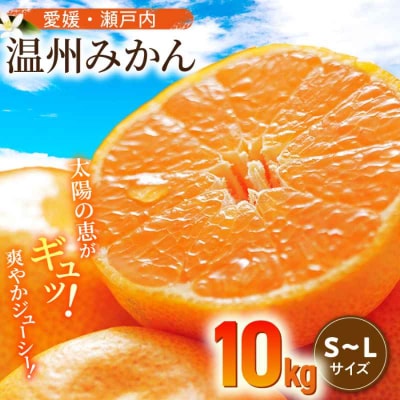 【先行受付】【11月中旬より順次発送】温州みかん S-L 10kg [AGBN016]