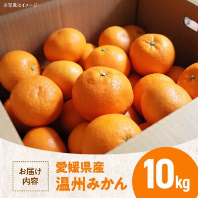 【先行受付】【11月中旬より順次発送】温州みかん S-L 10kg [AGBN016]