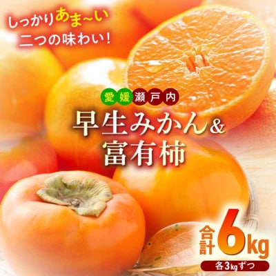 【先行受付】【11月上旬より順次発送】早生みかん3kgと富有柿3kg詰合せセット[AGBN019]