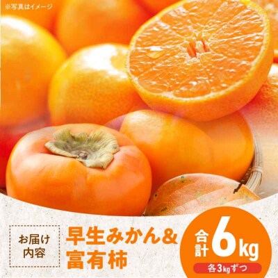 【先行受付】【11月上旬より順次発送】早生みかん3kgと富有柿3kg詰合せセット[AGBN019]