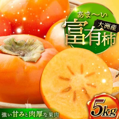 【先行受付】【11月上旬より順次発送】富有柿 M-2Lサイズ 約5kg箱 [AGBN023]