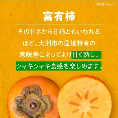 【先行受付】【11月上旬より順次発送】富有柿 M-2Lサイズ 約5kg箱 [AGBN023]
