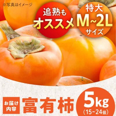 【先行受付】【11月上旬より順次発送】富有柿 M-2Lサイズ 約5kg箱 [AGBN023]