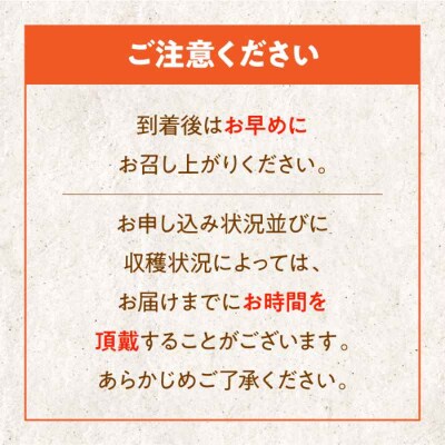 【先行受付】【11月上旬より順次発送】富有柿 M-2Lサイズ 約5kg箱 [AGBN023]