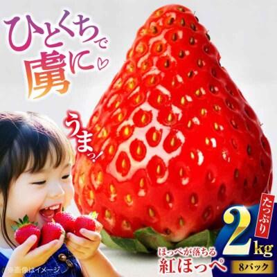 【先行受付】【1月中旬より順次発送】紅ほっぺ M-3L  約2kg [AGBN027]
