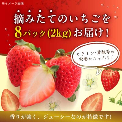 【先行受付】【1月中旬より順次発送】紅ほっぺ M-3L  約2kg [AGBN027]