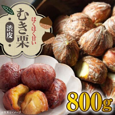 【先行受付】【10月上旬より順次発送】ムキ栗(渋皮付き)800g(真空パック)[AGBN030]