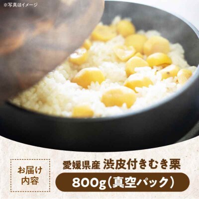 【先行受付】【10月上旬より順次発送】ムキ栗(渋皮付き)800g(真空パック)[AGBN030]