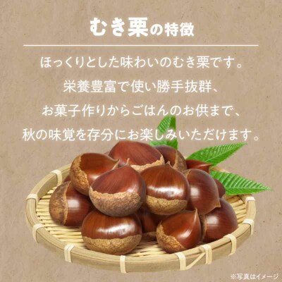 【先行受付】【10月上旬より順次発送】ムキ栗 800g (真空パック)[AGBN032]