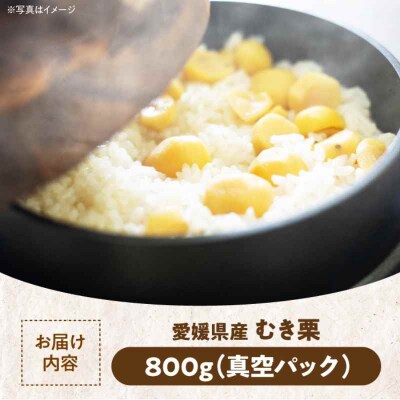 【先行受付】【10月上旬より順次発送】ムキ栗 800g (真空パック)[AGBN032]