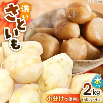 【先行受付】【8月下旬より順次発送】大洲産洗い里芋(水入り)500g×4袋 [AGBN033]