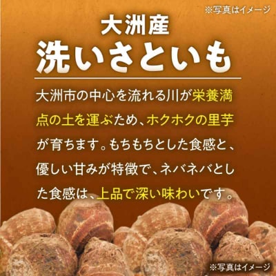 【先行受付】【8月下旬より順次発送】大洲産洗い里芋(水入り)500g×4袋 [AGBN033]