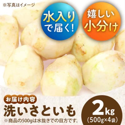 【先行受付】【8月下旬より順次発送】大洲産洗い里芋(水入り)500g×4袋 [AGBN033]