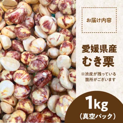 【先行受付】【10月上旬より順次発送】ムキ栗 1kg(真空パック [AGBN034]