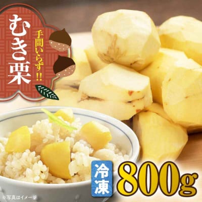 【冷凍】【先行受付】【10月上旬より順次発送】 ムキ栗800g(真空パック)  [AGBN038]