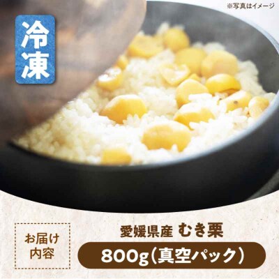 【冷凍】【先行受付】【10月上旬より順次発送】 ムキ栗800g(真空パック)  [AGBN038]
